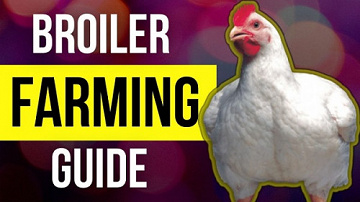 Udemy - Poultry farming Broiler farming crash course (2022)